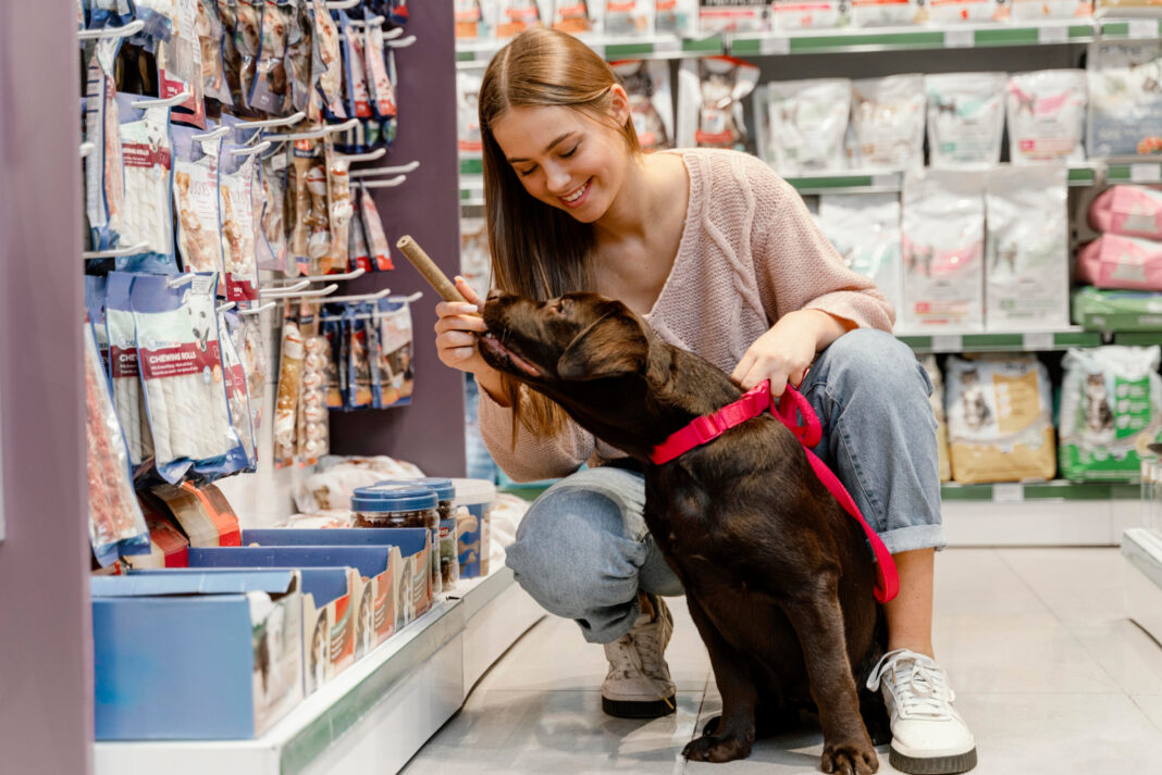 Petshop-ul Modern - Un Paradis pentru Animalele de Companie și Proprietarii lor