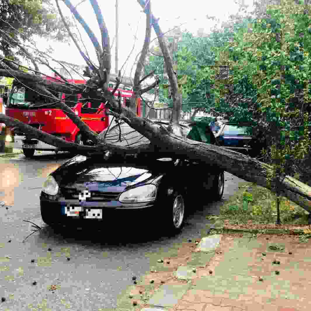 Impactul furtunilor în România: arbori doborâți, vehicule deteriorate și două persoane decedate