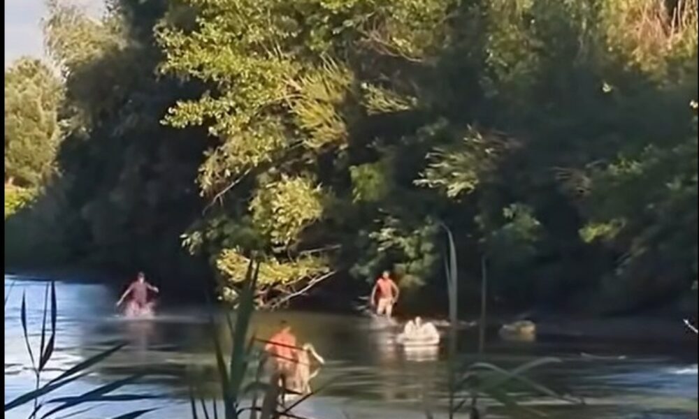 Opinia AUR asupra migrației ilegale