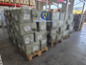 Debatere în jurul capturării bancnotelor false de 1 miliard de euro în Portul Constanța, marcate „prop copy” pentru decor de film. Poliția Română: „Am observat glumele despre «banii de film»”