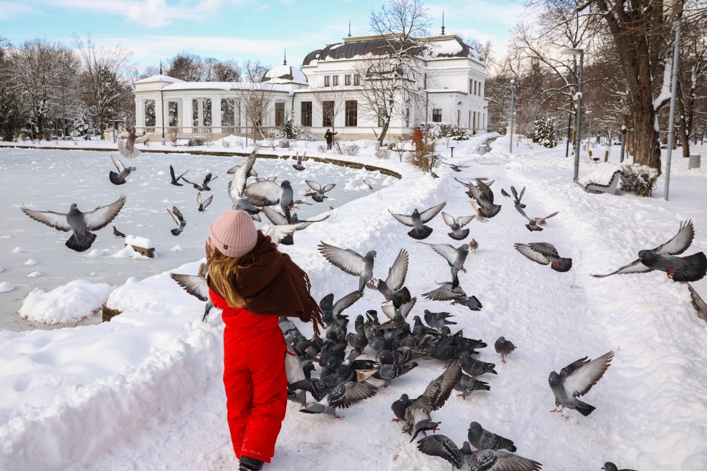 Cea mai friguroasă lună ianuarie din ultimele șapte ani: când se va termina ondata de frig extrem