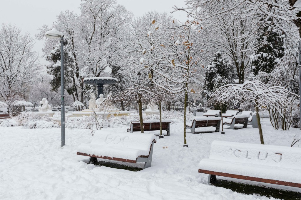 VIDEO: Boc lansează un filmuleț în care îndepărtează zăpada de la intrarea Primăriei Cluj-Napoca: „Să ne menținem trotuarele!”
