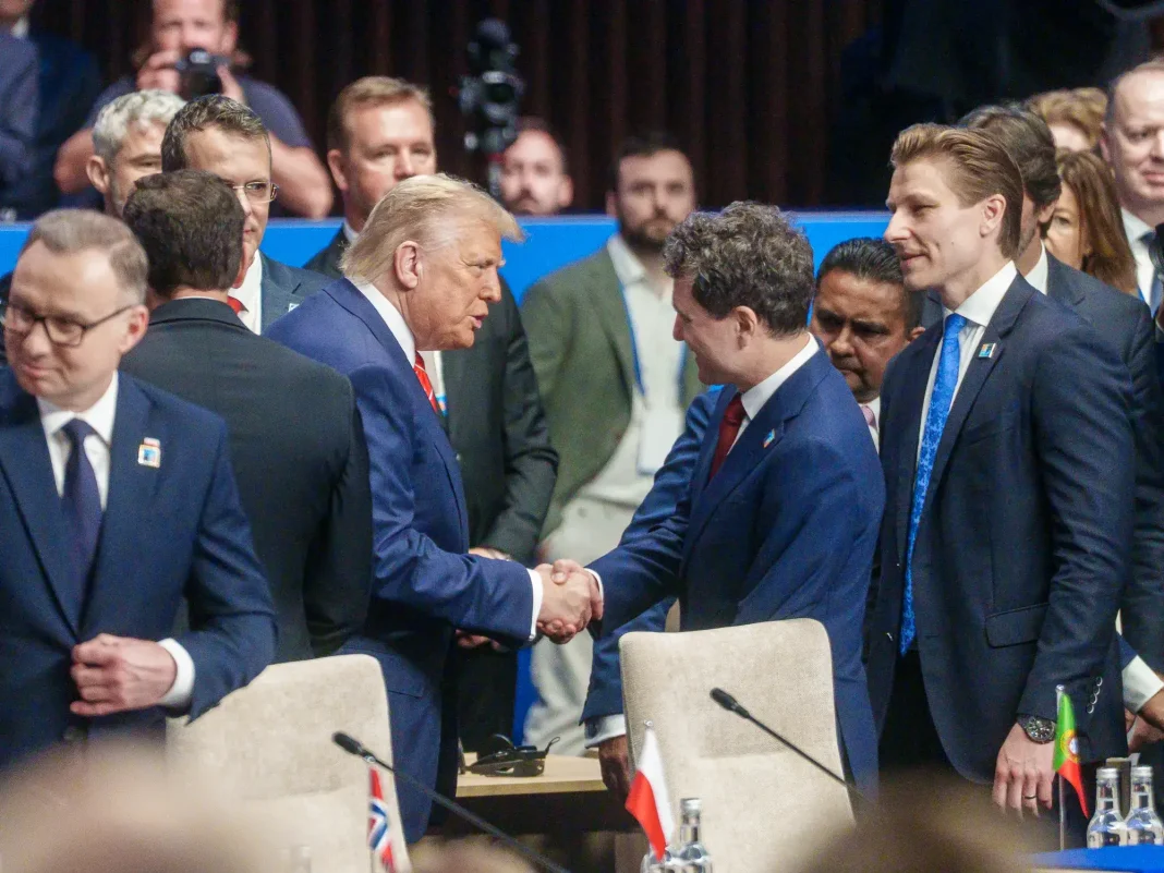 consiliul pentru pace