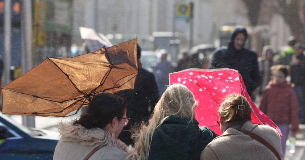 Vremea traversează o transformare radicală: se estimează ploi, ninsori și temperaturi sub nivelul mediu al sezonului. Zonele impactate de...