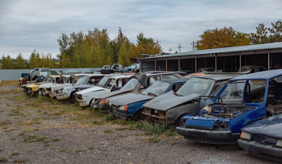 Programul Rabla 2026: posibile majorări ale tichetelor pentru vehicule electrice, conform declarației Dianei Buzoianu.