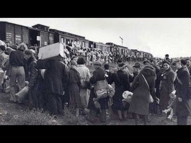 Harta expulzărilor staliniste din Basarabia realizată cu ajutorul AI: „Bunicii și membrii familiei și-au găsit locul pe platformă”