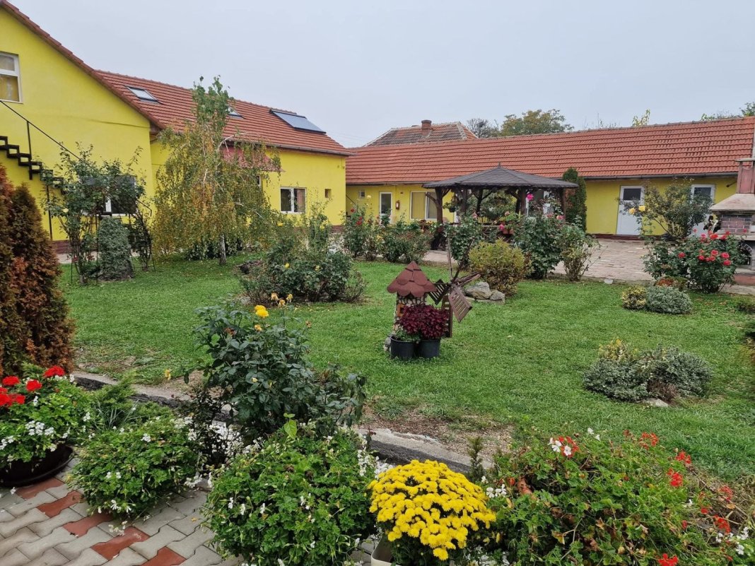 Mitul „bunului samaritean” în opoziție cu faptele azilelor din Bihor: Viorel Pașca, în fața Curții de Apel București